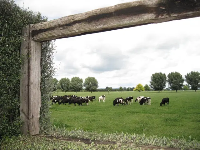 Hollywood actress Kelly LeBrock shares reasons behind her departure from the glamorous film...