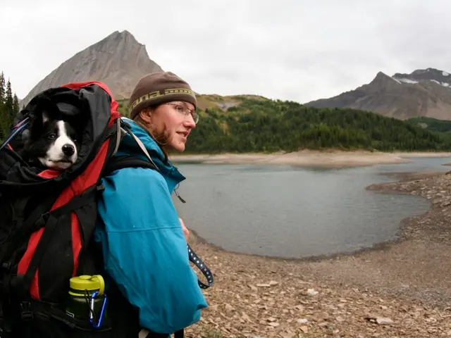 Exploring Trails with Man's Best Friend: An Insider Provides Essential Advice