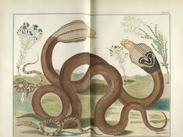 Youth residing in the belts of Bochum