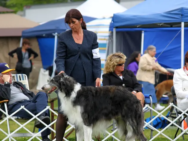 Guidelines for Conscious Hiking Experience