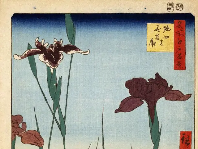 Unconventional Developments: Exploring Unconventional Avenues in Various Scenarios