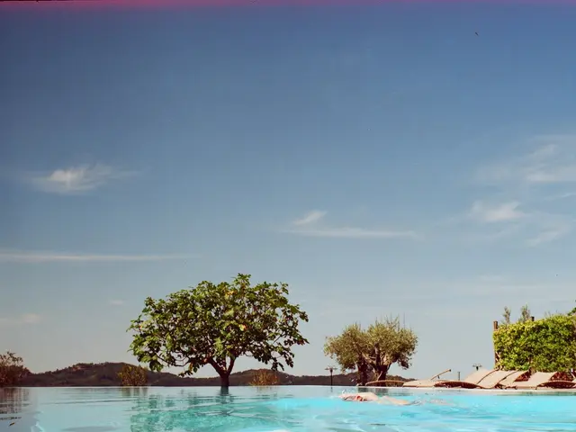 Identifying and Addressing Pool Leaks Before They Cause More Damage