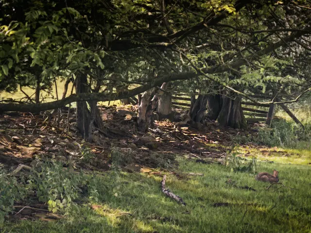 Veggie Garden's Landscape Covering Material