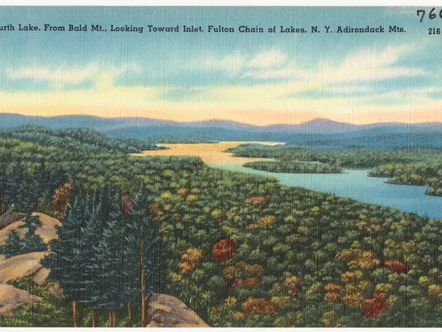 Wakefulness has arrived earlier for Wim Wenders today.