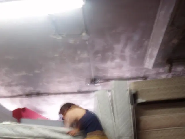 Twilight Sleep System by Helix: Mattress Model