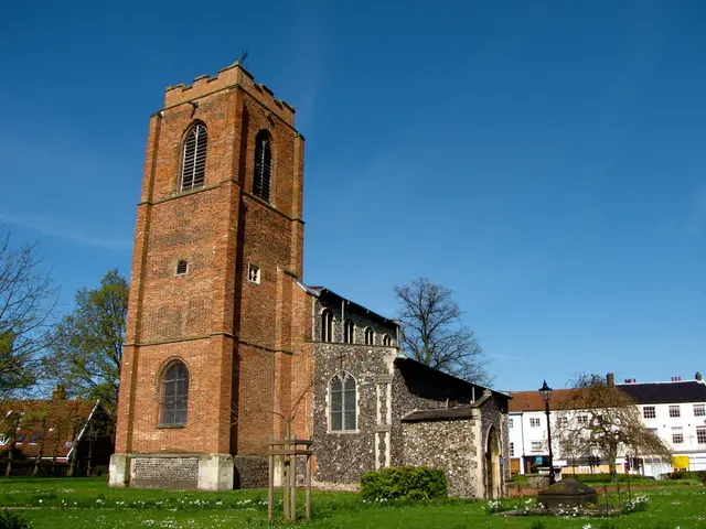 Essential Gear for Successful Vertical Planting