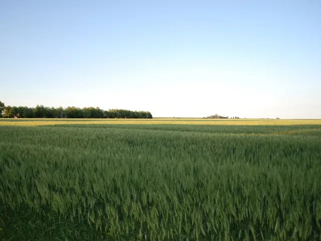 Highlighted Showcase: New Holland Farm Located in Orkney Now Open