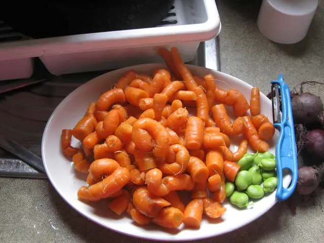 Streamlining Eco-Friendly Manufacturing for Food Technology