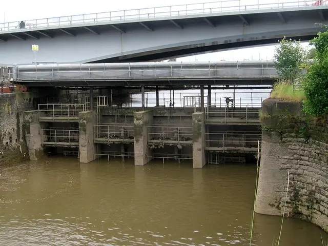 Federal Collaboration Aimed at Removing Kellogg Dam, Enhancing Migratory Path for Endangered...