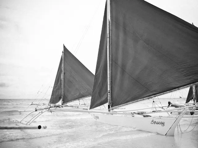 Stunning Black-and-White Sub aquatic Imagery