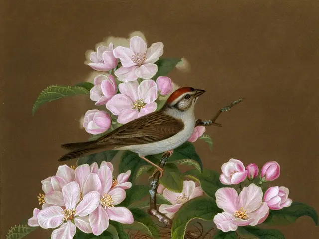 Exploring Great Tits: Delving Into the Vibrant Life of One of Nature's Most Stunning Aviary Species