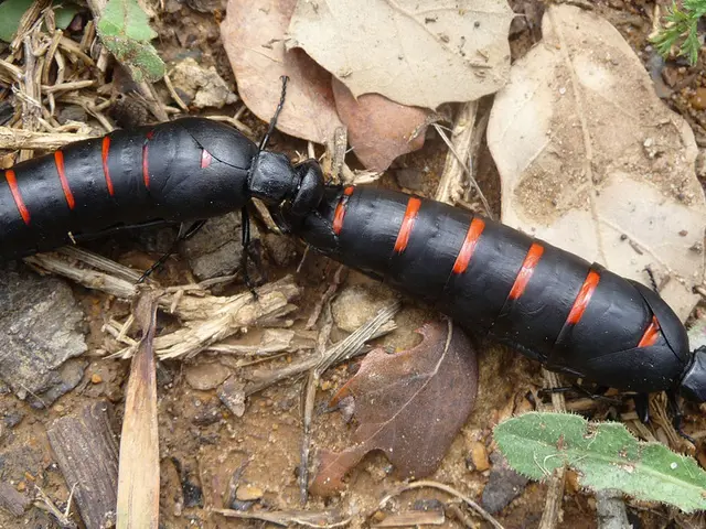 Home Camping Trick: Ward Off Pests with a Typical household Product You Possess Easily