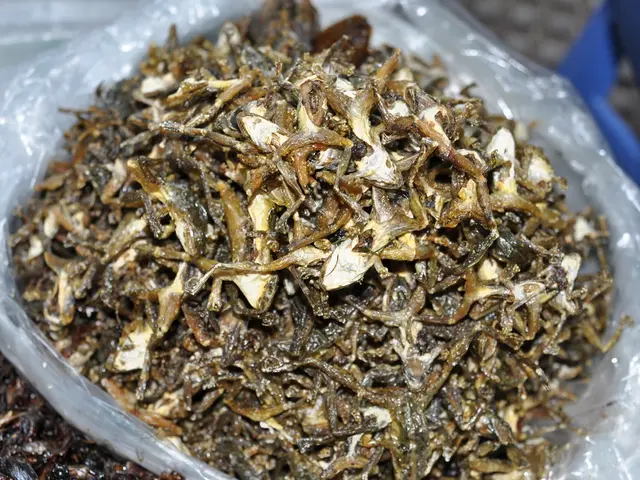 Fifth-placed novice macro art competition entry in the 2019 Ocean Art, credited to Kierstin...