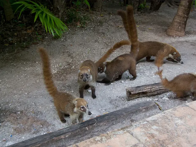 Parenthood Premiere Details: Release Date, Episode Outline, and All Known Information