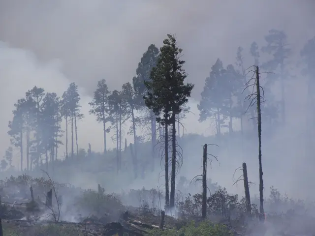Expanded urban vehicle with a focus on environmental friendliness