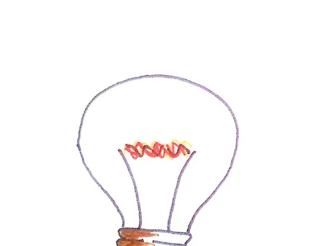 Steps to Flourish with Light Bulbs