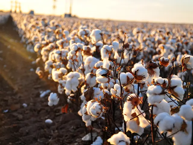 Purchasing Large Quantities of Landscape Fabric for Gardens in Spring