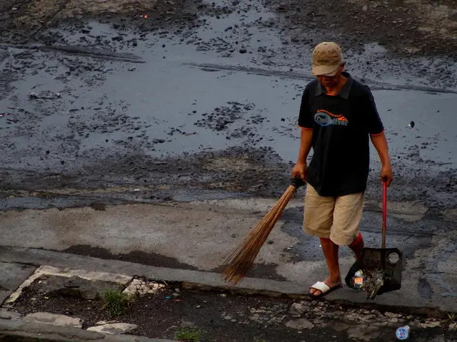 Volunteers perform a cleanup in Lahnufer and the adjacent river