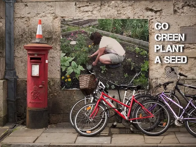 Preparing for a Memorable Wilderness Expedition