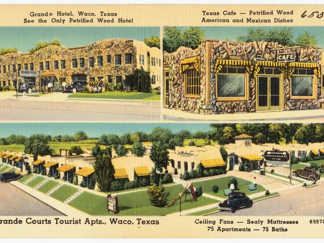 The remaining items are images