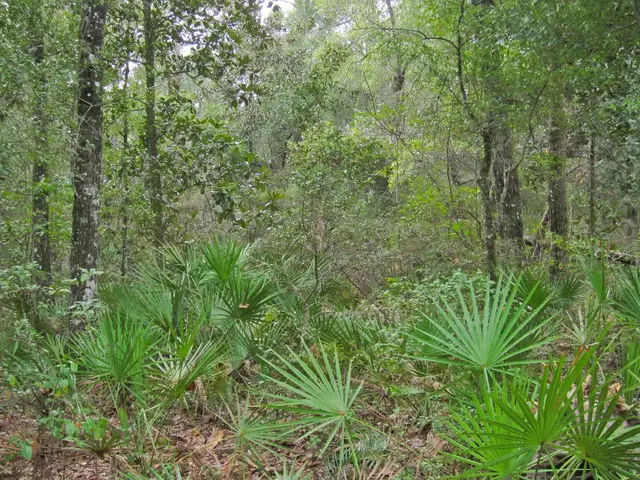 Autumn Enhancements for Your Front Yard: Impressive Floral Selections to Enhance Your Outdoor...