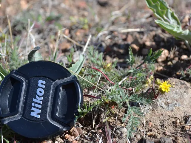 Garden Experts Can't Stop Raving About These 8 Practical Items for Lush Lawns