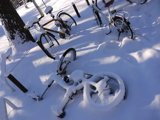 Administrative E-bikes: Favorable for Environmental Impact but Underutilized?