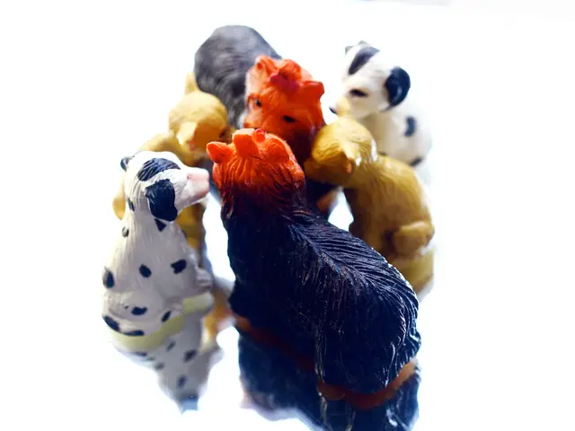 Teacher generates significant monthly income through customized labubu ventures