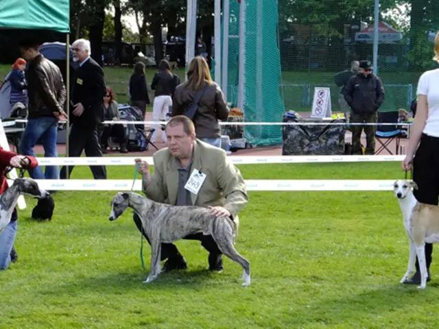 Exploring the Great Outdoors: Discovering Nature's Wonders Unfettered