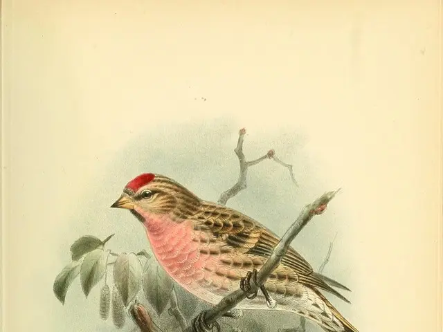 Insect Liberation Advocate, Edgar Honetschläger, Spotted at Linzer Nordico Event