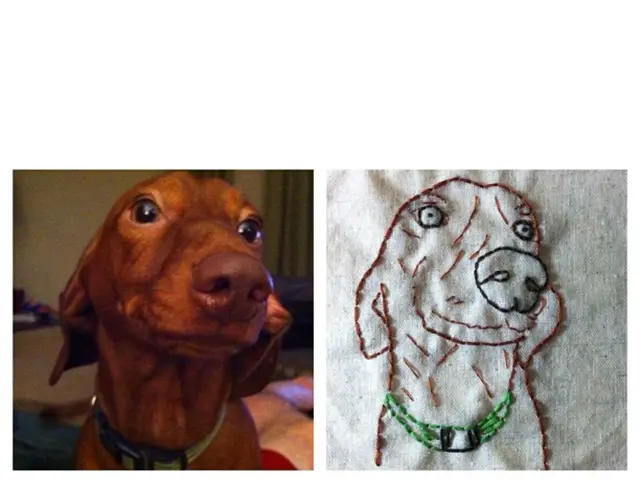 A Mix of Maltese and Yorkshire Terrier, Not Confused with an Alien Character Named Morkie