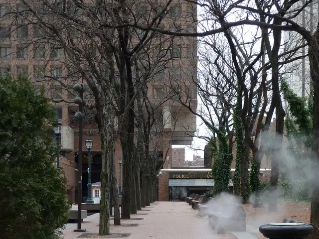 Household Herbs: A Guide