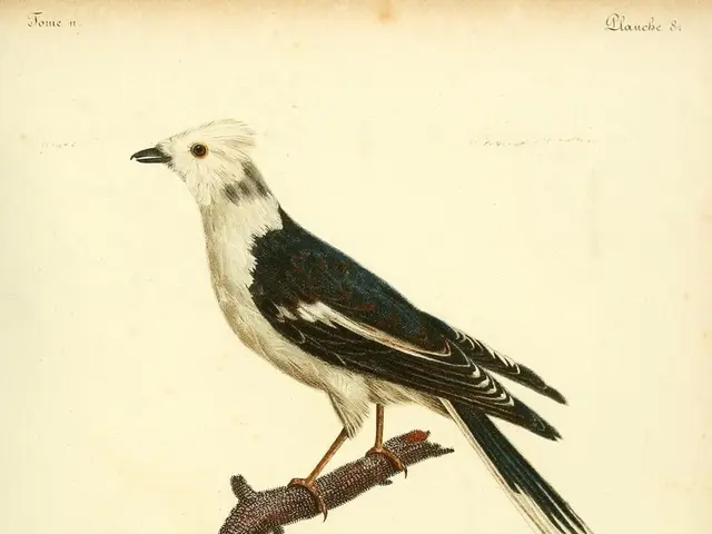 Birds can indeed accumulate excess weight, similar to many other creatures.