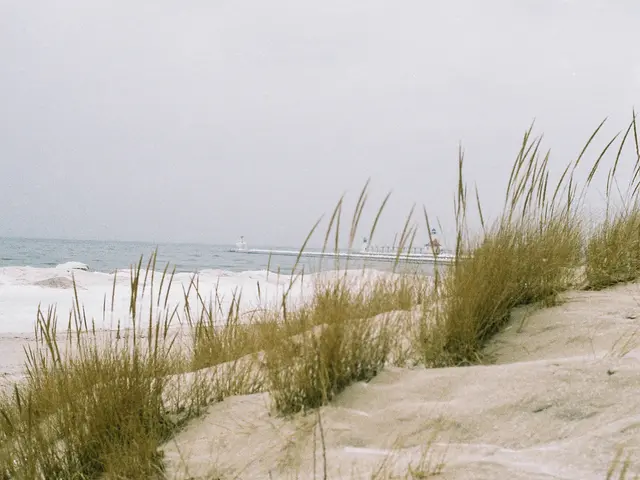 In this picture there is few grass in between the sand and there is water and some other object in...