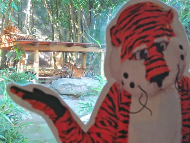 In this image I see the depiction of a tiger over here and in the background I see 2 tigers,...