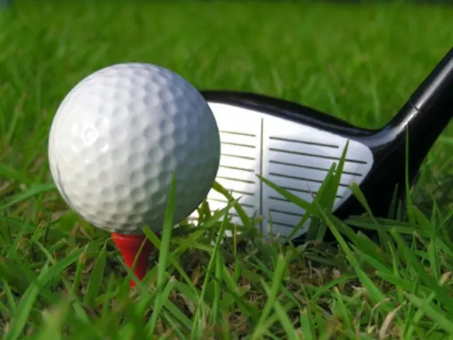 In this image there is a golf ball on the left side of this image and there is a bat on the right...