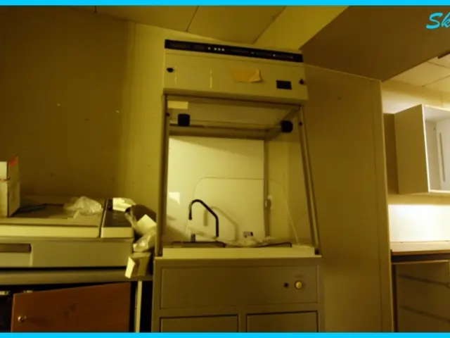 I can see this is an edited image. There are cupboards and racks attached to the walls and also...