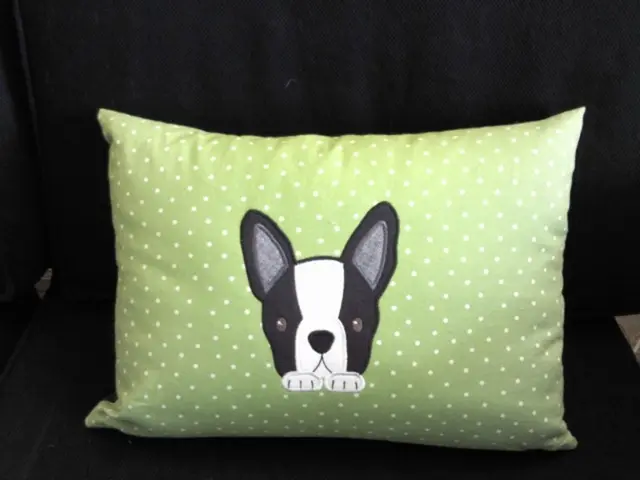 This picture shows a pillow. It is green in color.