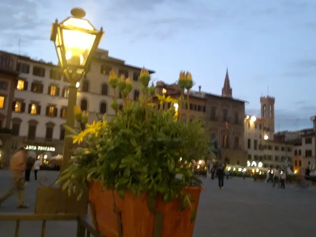 This picture describes about group of people, few are standing and few are walking, in this we can...