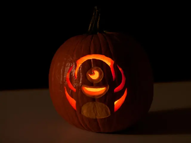 In this picture we can see a pumpkin.