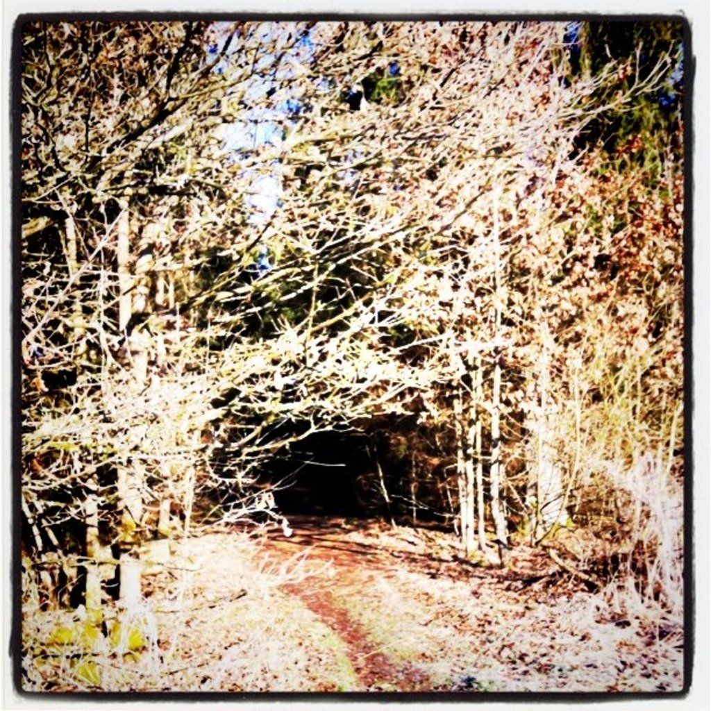 Sleek Stove Gap Cover Integrates Seamlessly with Hob for Eliminating Stray Crumbs, Simplifying Your...